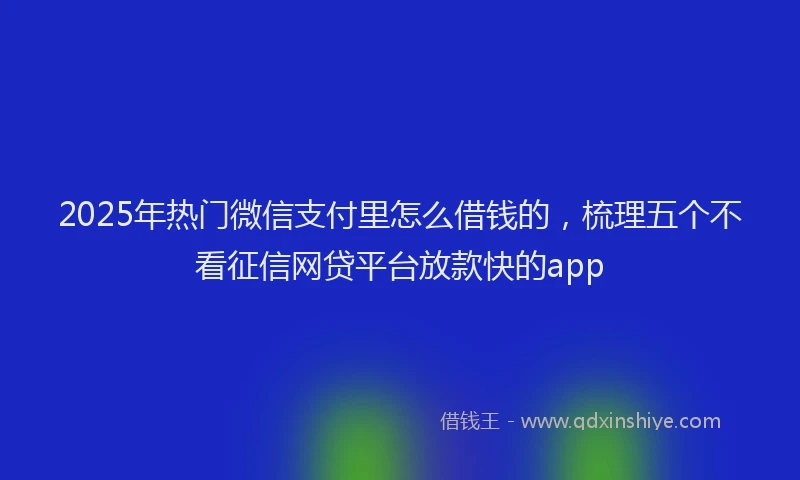 2025年热门微信支付里怎么借钱的，梳理五个不看征信网贷平台放款快的app