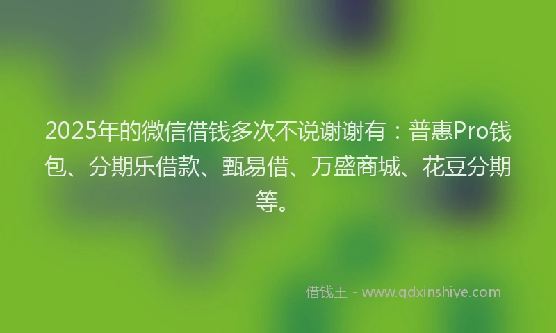 2025年的微信借钱多次不说谢谢有：普惠Pro钱包、分期乐借款、甄易借、万盛商城、花豆分期等。