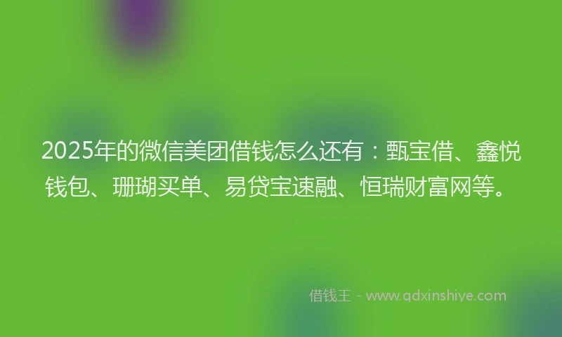 2025年的微信美团借钱怎么还有：甄宝借、鑫悦钱包、珊瑚买单、易贷宝速融、恒瑞财富网等。