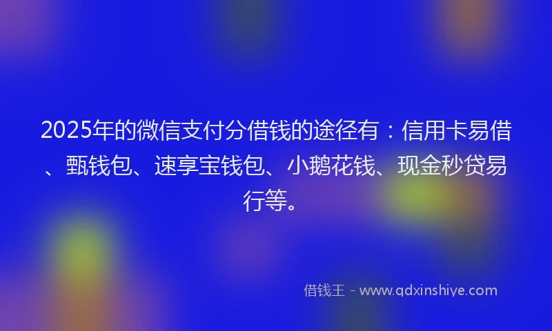 2025年的微信支付分借钱的途径有：信用卡易借、甄钱包、速享宝钱包、小鹅花钱、现金秒贷易行等。