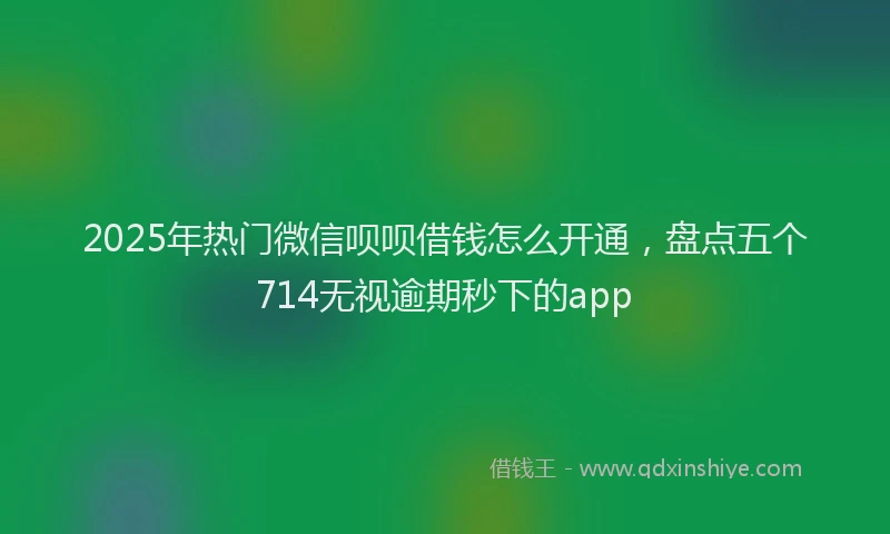 2025年热门微信呗呗借钱怎么开通，盘点五个714无视逾期秒下的app