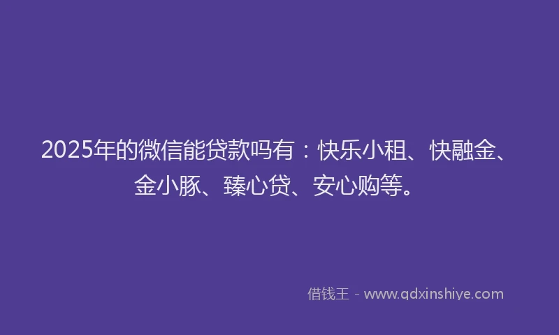2025年的微信能贷款吗有：快乐小租、快融金、金小豚、臻心贷、安心购等。