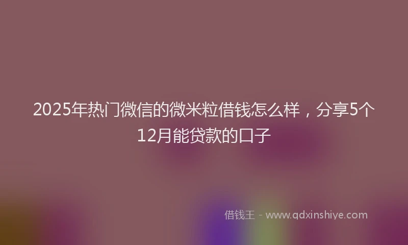 2025年热门微信的微米粒借钱怎么样，分享5个12月能贷款的口子