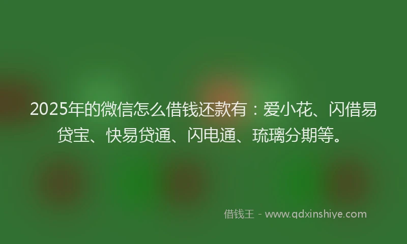 2025年的微信怎么借钱还款有：爱小花、闪借易贷宝、快易贷通、闪电通、琉璃分期等。