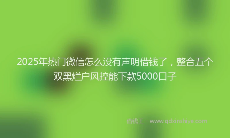 2025年热门微信怎么没有声明借钱了，整合五个双黑烂户风控能下款5000口子