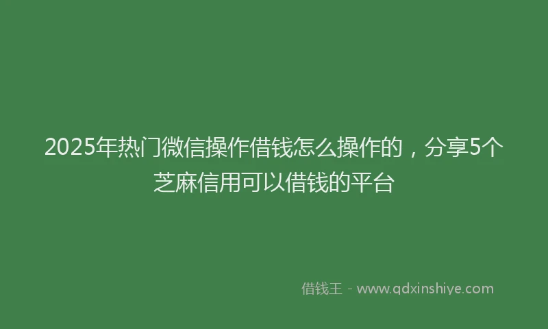 2025年热门微信操作借钱怎么操作的，分享5个芝麻信用可以借钱的平台