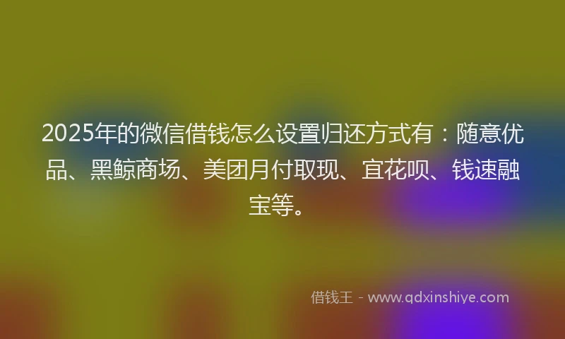 2025年的微信借钱怎么设置归还方式有：随意优品、黑鲸商场、美团月付取现、宜花呗、钱速融宝等。
