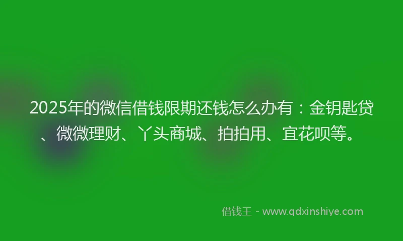 2025年的微信借钱限期还钱怎么办有：金钥匙贷、微微理财、丫头商城、拍拍用、宜花呗等。