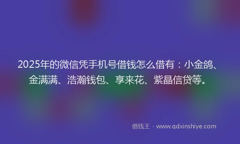2025年的微信凭手机号借钱怎么借有：小金鸽、金满满、浩瀚钱包、享来花、紫晶信贷等。