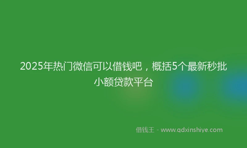 2025年热门微信可以借钱吧，概括5个最新秒批小额贷款平台