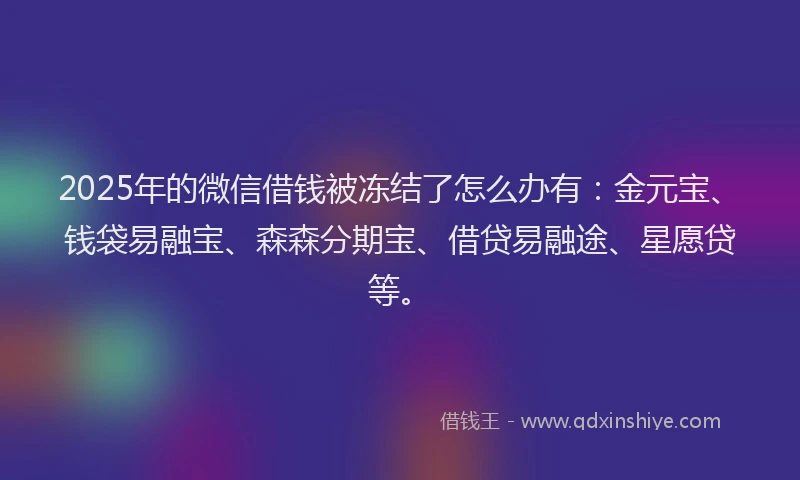 2025年的微信借钱被冻结了怎么办有：金元宝、钱袋易融宝、森森分期宝、借贷易融途、星愿贷等。