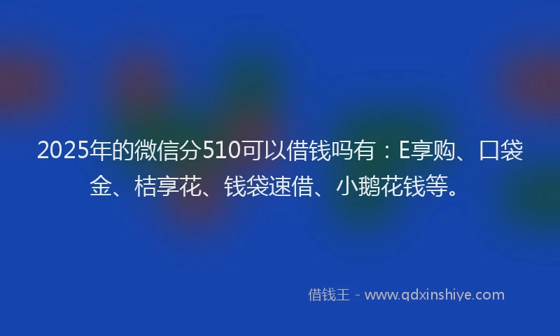 2025年的微信分510可以借钱吗有：E享购、口袋金、桔享花、钱袋速借、小鹅花钱等。