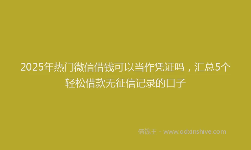 2025年热门微信借钱可以当作凭证吗，汇总5个轻松借款无征信记录的口子