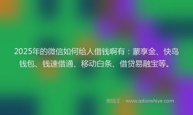 2025年的微信如何给人借钱啊有：蒙享金、快鸟钱包、钱速借通、移动白条、借贷易融宝等。