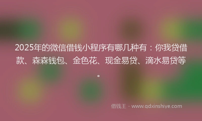 2025年的微信借钱小程序有哪几种有：你我贷借款、森森钱包、金色花、现金易贷、滴水易贷等。