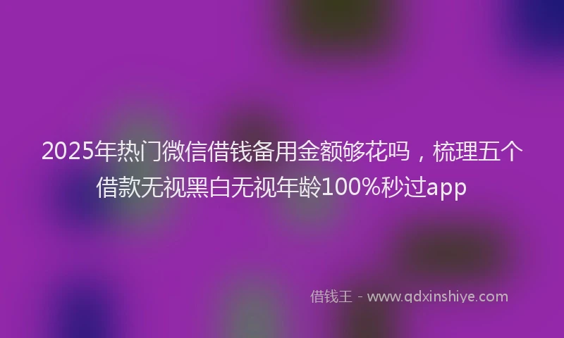 2025年热门微信借钱备用金额够花吗，梳理五个借款无视黑白无视年龄100%秒过app