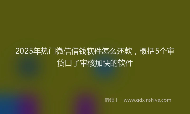 2025年热门微信借钱软件怎么还款，概括5个审贷口子审核加快的软件