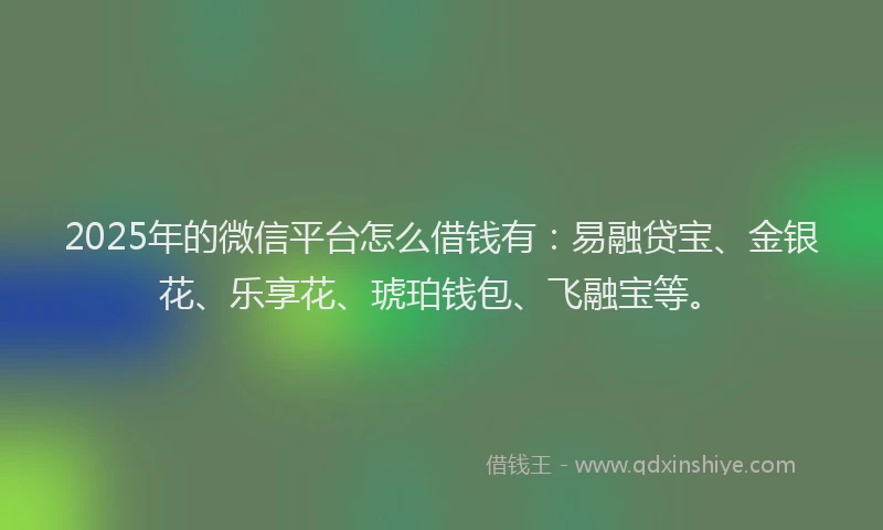 2025年的微信平台怎么借钱有：易融贷宝、金银花、乐享花、琥珀钱包、飞融宝等。