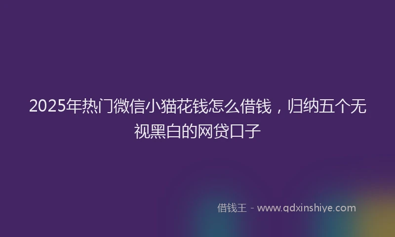 2025年热门微信小猫花钱怎么借钱，归纳五个无视黑白的网贷口子
