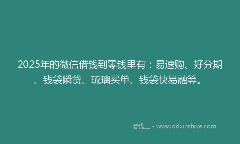 2025年的微信借钱到零钱里有：易速购、好分期、钱袋瞬贷、琉璃买单、钱袋快易融等。