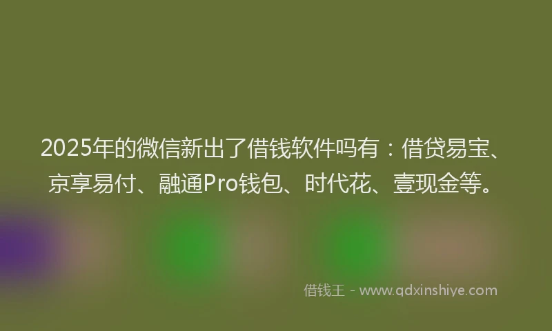 2025年的微信新出了借钱软件吗有：借贷易宝、京享易付、融通Pro钱包、时代花、壹现金等。