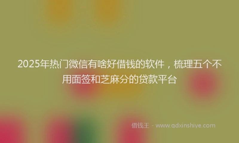 2025年热门微信有啥好借钱的软件，梳理五个不用面签和芝麻分的贷款平台
