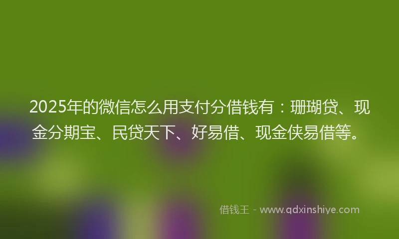 2025年的微信怎么用支付分借钱有：珊瑚贷、现金分期宝、民贷天下、好易借、现金侠易借等。