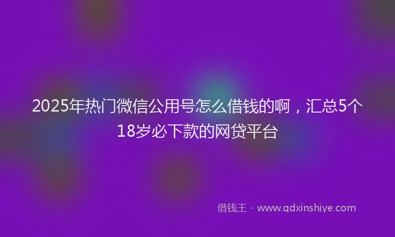 2025年热门微信公用号怎么借钱的啊，汇总5个18岁必下款的网贷平台
