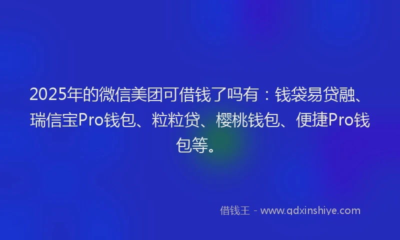 2025年的微信美团可借钱了吗有：钱袋易贷融、瑞信宝Pro钱包、粒粒贷、樱桃钱包、便捷Pro钱包等。