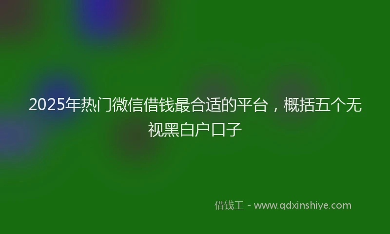 2025年热门微信借钱最合适的平台，概括五个无视黑白户口子