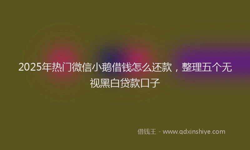 2025年热门微信小鹅借钱怎么还款，整理五个无视黑白贷款口子