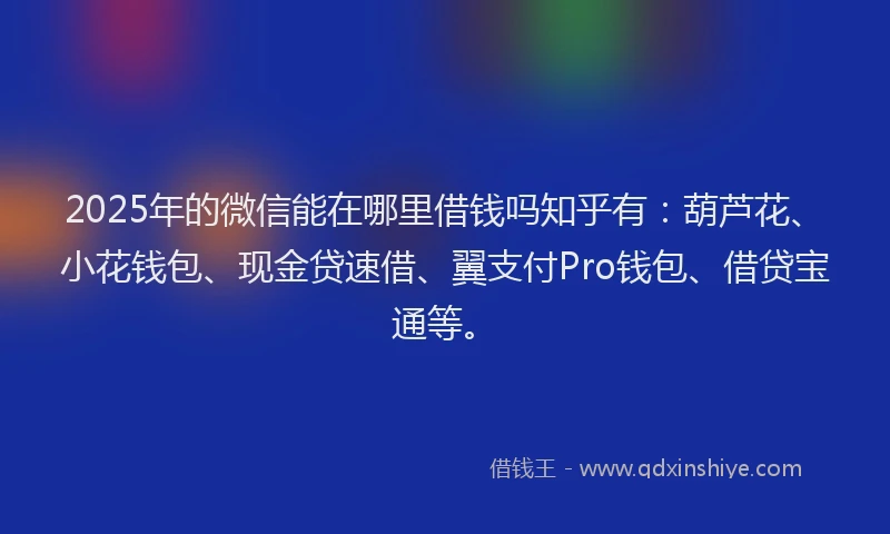 2025年的微信能在哪里借钱吗知乎有：葫芦花、小花钱包、现金贷速借、翼支付Pro钱包、借贷宝通等。