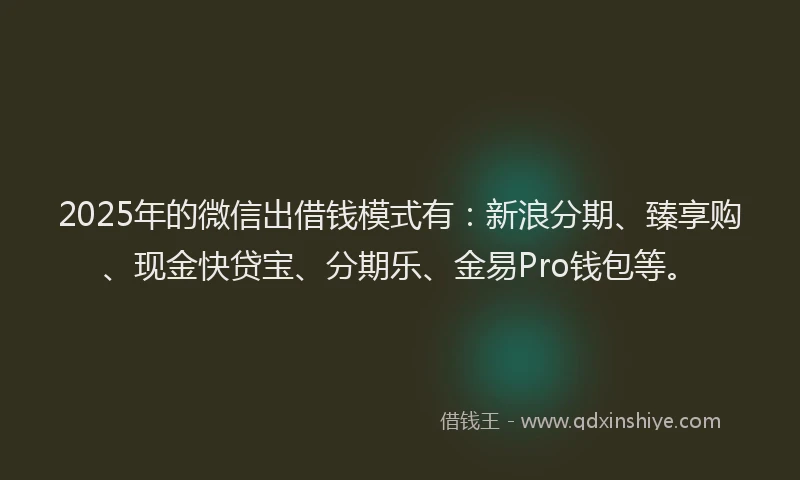 2025年的微信出借钱模式有：新浪分期、臻享购、现金快贷宝、分期乐、金易Pro钱包等。