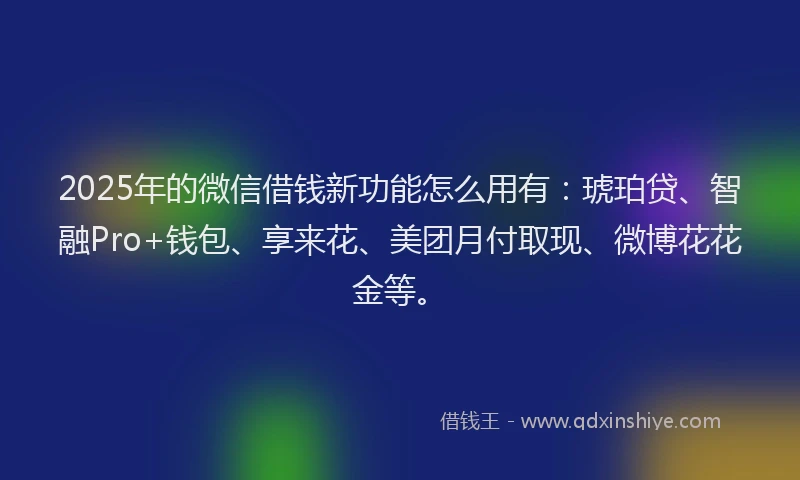 2025年的微信借钱新功能怎么用有：琥珀贷、智融Pro+钱包、享来花、美团月付取现、微博花花金等。