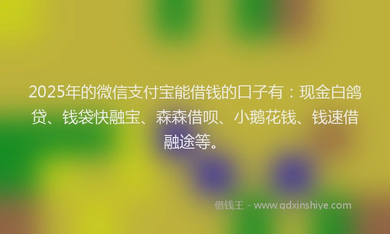 2025年的微信支付宝能借钱的口子有：现金白鸽贷、钱袋快融宝、森森借呗、小鹅花钱、钱速借融途等。