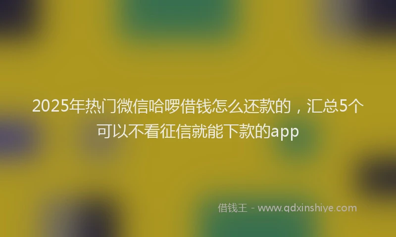 2025年热门微信哈啰借钱怎么还款的，汇总5个可以不看征信就能下款的app