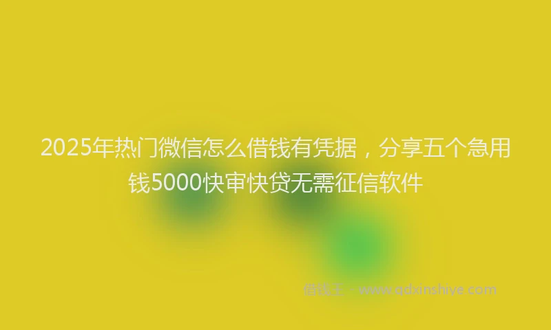 2025年热门微信怎么借钱有凭据，分享五个急用钱5000快审快贷无需征信软件