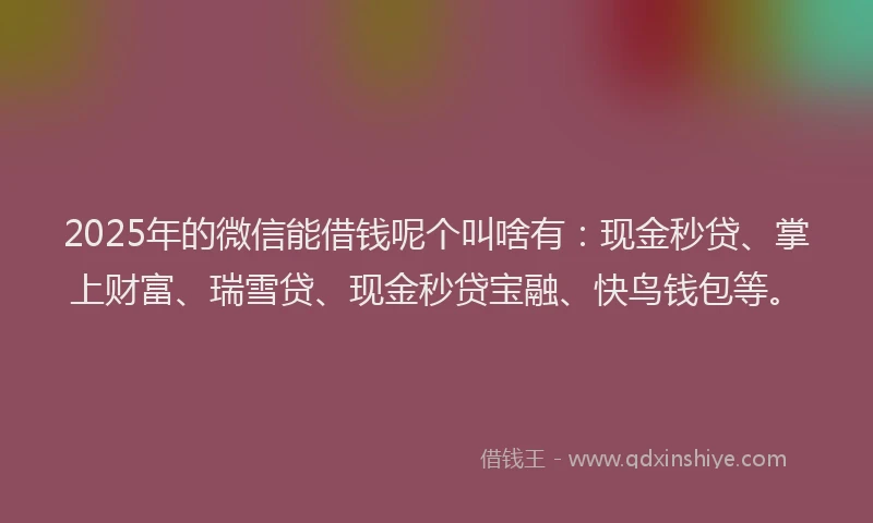 2025年的微信能借钱呢个叫啥有：现金秒贷、掌上财富、瑞雪贷、现金秒贷宝融、快鸟钱包等。
