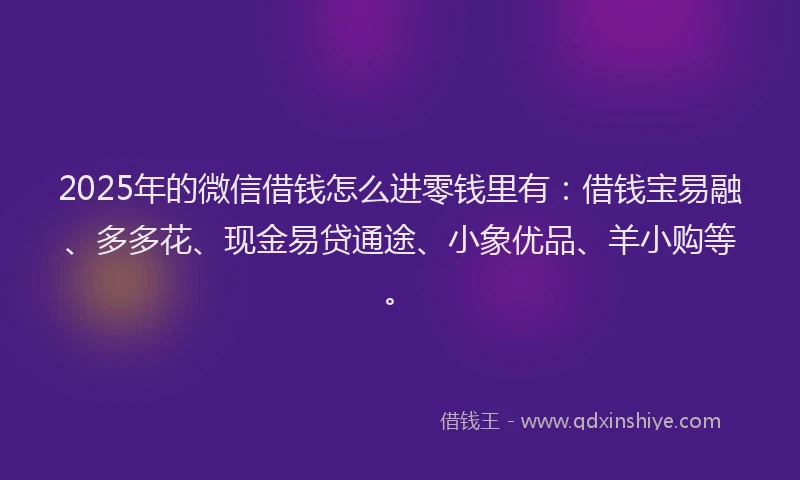2025年的微信借钱怎么进零钱里有：借钱宝易融、多多花、现金易贷通途、小象优品、羊小购等。