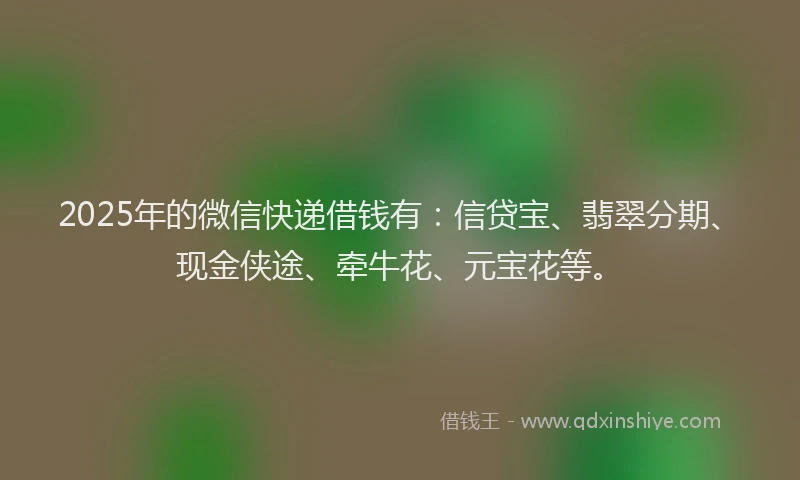 2025年的微信快递借钱有：信贷宝、翡翠分期、现金侠途、牵牛花、元宝花等。