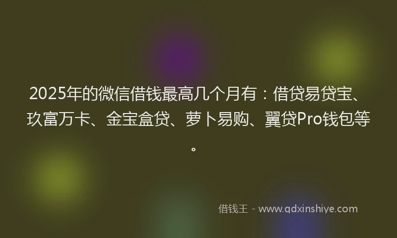 2025年的微信借钱最高几个月有：借贷易贷宝、玖富万卡、金宝盒贷、萝卜易购、翼贷Pro钱包等。
