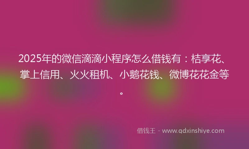 2025年的微信滴滴小程序怎么借钱有：桔享花、掌上信用、火火租机、小鹅花钱、微博花花金等。