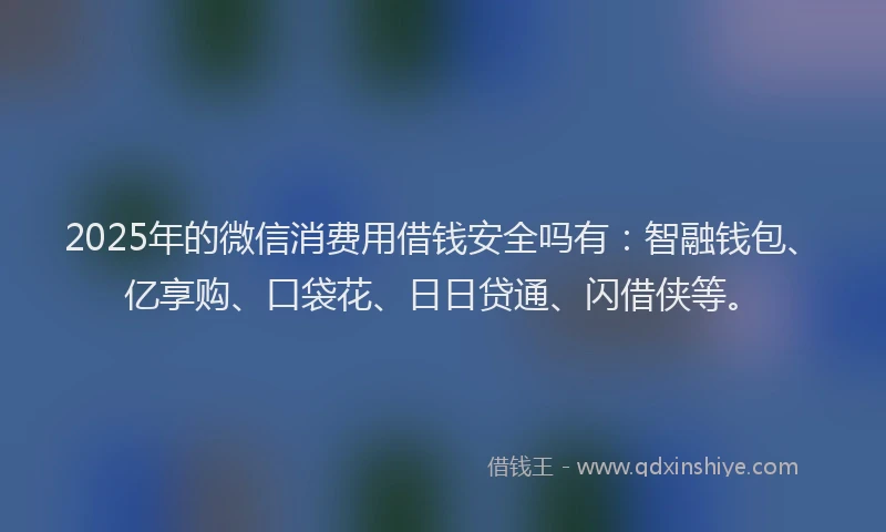 2025年的微信消费用借钱安全吗有：智融钱包、亿享购、口袋花、日日贷通、闪借侠等。
