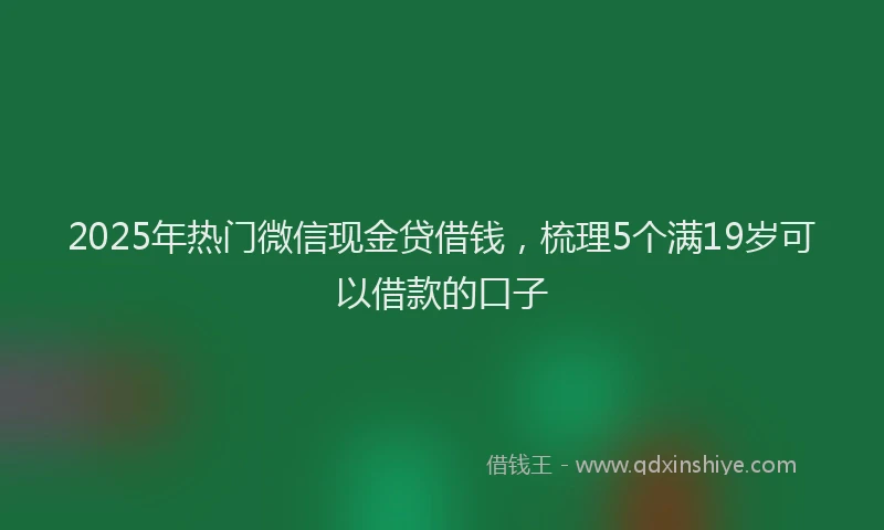 2025年热门微信现金贷借钱，梳理5个满19岁可以借款的口子