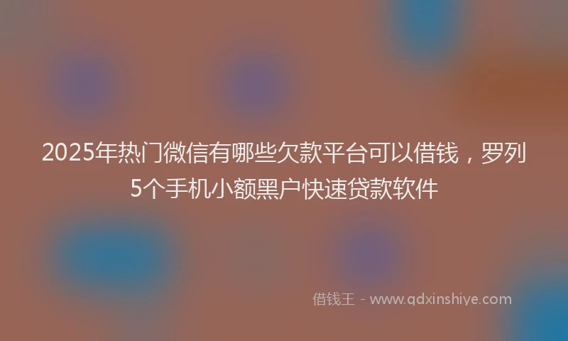 2025年热门微信有哪些欠款平台可以借钱，罗列5个手机小额黑户快速贷款软件