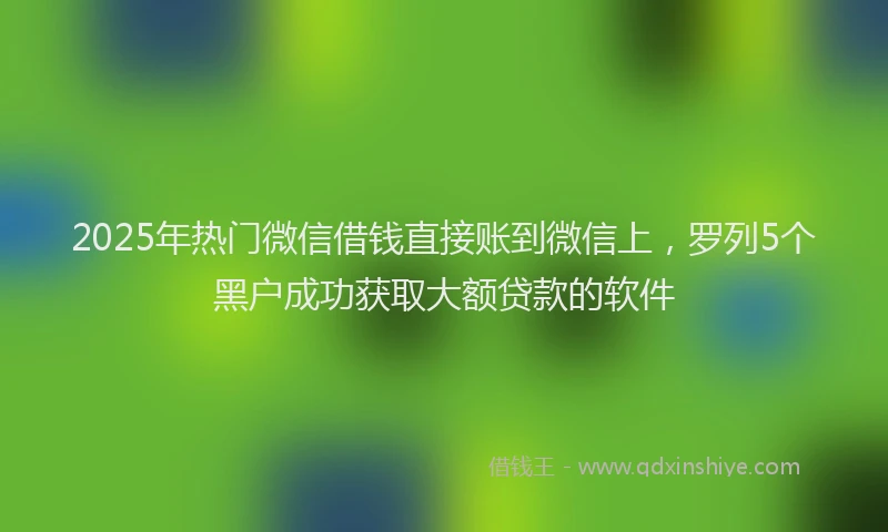 2025年热门微信借钱直接账到微信上，罗列5个黑户成功获取大额贷款的软件