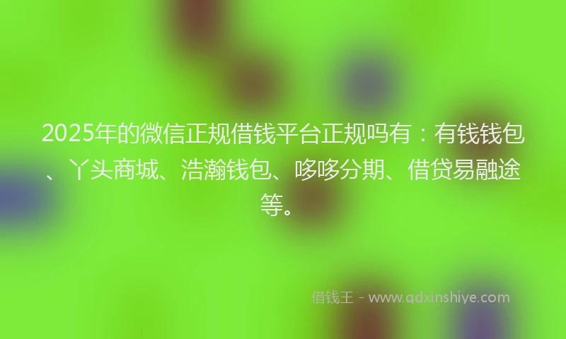 2025年的微信正规借钱平台正规吗有：有钱钱包、丫头商城、浩瀚钱包、哆哆分期、借贷易融途等。