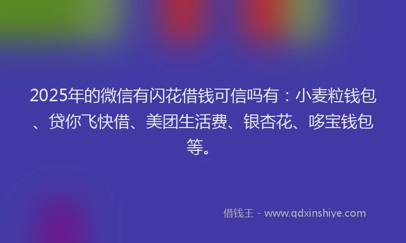 2025年的微信有闪花借钱可信吗有：小麦粒钱包、贷你飞快借、美团生活费、银杏花、哆宝钱包等。