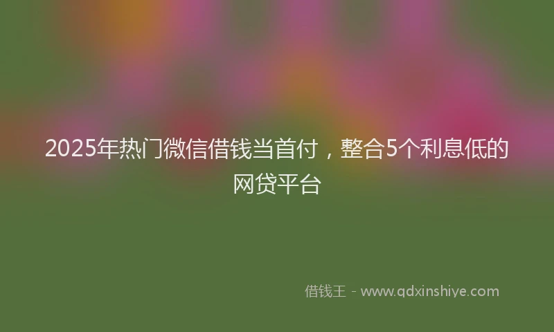 2025年热门微信借钱当首付，整合5个利息低的网贷平台