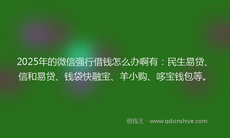 2025年的微信强行借钱怎么办啊有：民生易贷、信和易贷、钱袋快融宝、羊小购、哆宝钱包等。